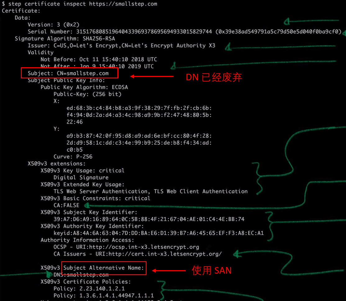 inspect-san-dns